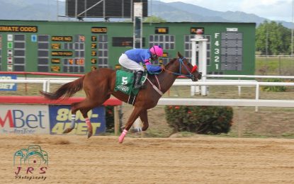 El Rey Sanjay’s Triple Crown hopes dashed due to injury