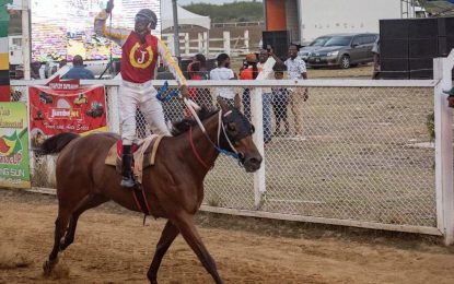 Businessman Sripaul is new owner of Guyana’s champion horse Spankhhurst