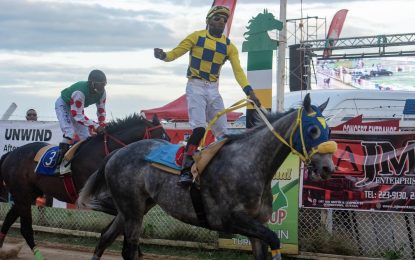 Spankhurst, Stolen Money leads Guyana horseracing earnings