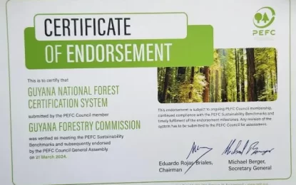 Guyana’s forest certification system gets global approval