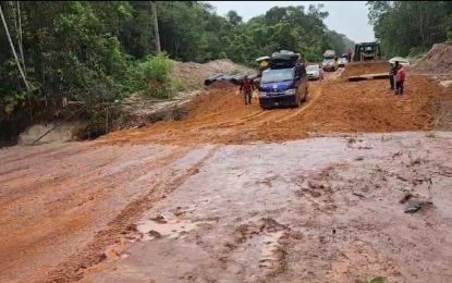 Light traffic now traversing waterlogged Lethem trail – Min. Edghill