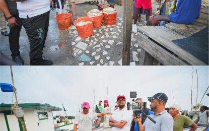 Contractors bid over $50M to build fish vendor shed at Meadow Bank wharf