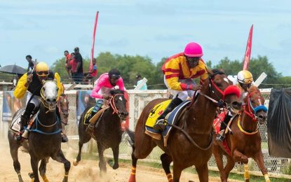 Rising Sun Turf Club Gymkhana postponed – new date to be announced