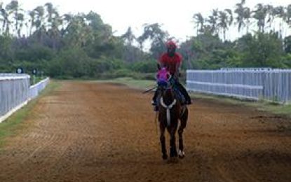 Preparation underway for July 14 Port Mourant Turf Club Horse Race meet