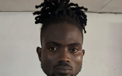 Sophia man remanded for possession of firearm, ammo and narcotics