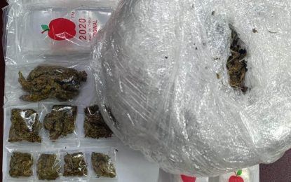 Construction worker nabbed with 895 grams of cannabis in yard