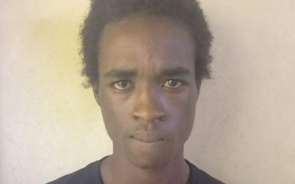 22-year-old gets 48 months for illegal firearm possession