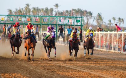 Close to 60 horses entered for Port Mourant horse race meet