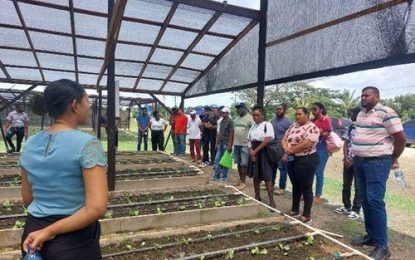 Farfan & Mendes collaborates with CAPA to train farmers, students on Climate-Smart agriculture and technology