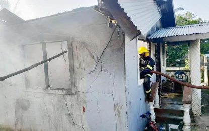 Four-year-old dies in Sophia fire