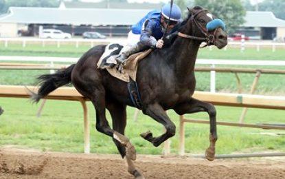 Record-Breaking Arrival: Seven Elite Thoroughbred Horses Land in Guyana for Historic Guyana Cup