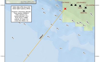 Hot temperature from discharges can kill marine species – Exxon warns in summary for 7th project  