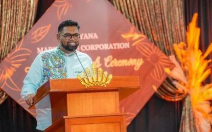 Govt. to pay for supermarket space for local agro products – President Ali