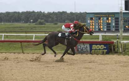 Derby winner, Stroke of Luck to miss Sunday’s Horse Race Meet