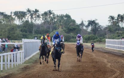 Port Mourant Turf Club track stood out despite inclement weather