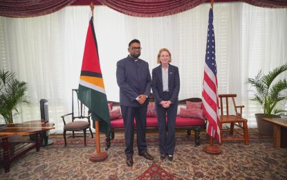 President Ali meets with USAID delegation to discuss bilateral relations