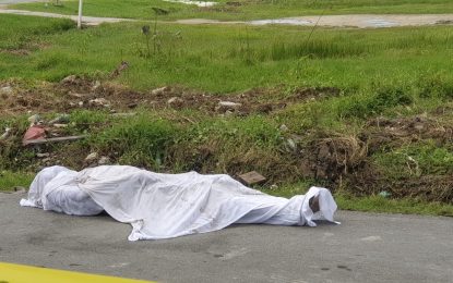 Man, 61, found dead in drain at Enmore