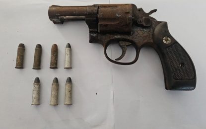 Duo busted with gun, ammo, during stop and search exercise at Albion