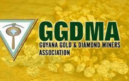 Govt. engages GGDMA on call clamp down on illegal mining, shops