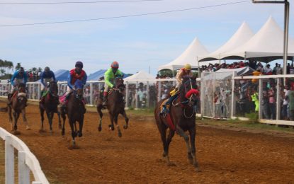 Jockeys bringing ‘A’ game for Guyana Cup