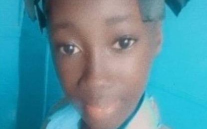 Police issue missing person notice for school girl who disappeared three months ago