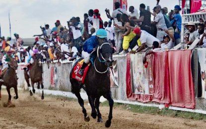 Close to 100 horses entered for Guyana Cup 2024