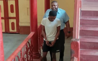 Car cleaner remanded to prison over gun, ammo possession