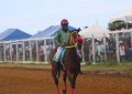 Jockey Paul Delph eyeing fourth win at Guyana Cup