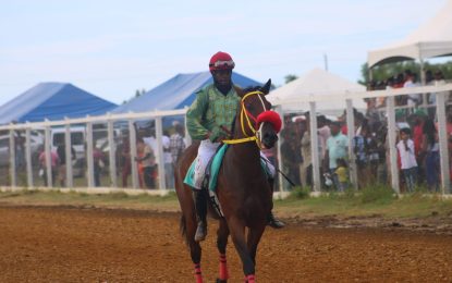 Jockey Paul Delph eyeing fourth win at Guyana Cup