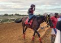 Nobel Abrego set to ride in Guyana Cup feature