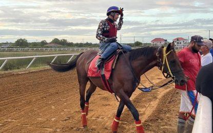 Nobel Abrego set to ride in Guyana Cup feature