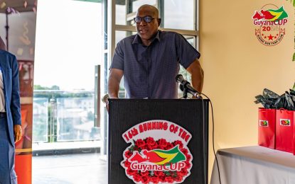 “Take a page out of the Guyana Cup organizers book” – Director of Sport tells other sport organizers