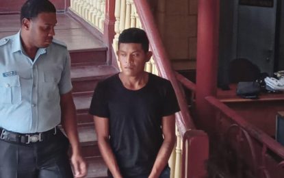 Kamarang farmer remanded on attempted murder charge