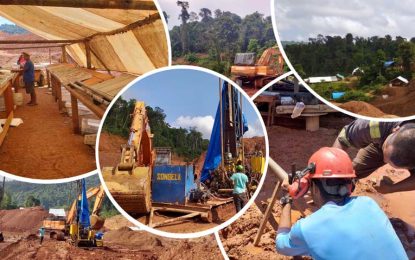 Canadian mining company expands new gold zones at Guyana project with positive results