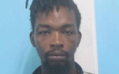 Prison escapee recaptured in Sophia