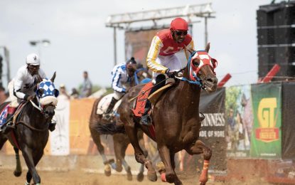 Ross leads Guyana Jockey’s earnings after Guyana Cup