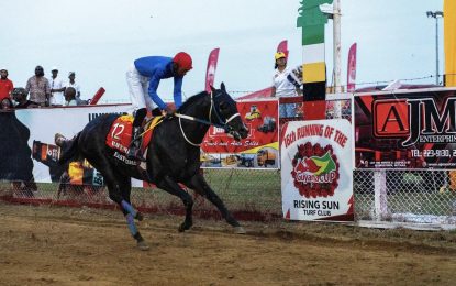 Jockey Ross anticipates exciting President’s Cup