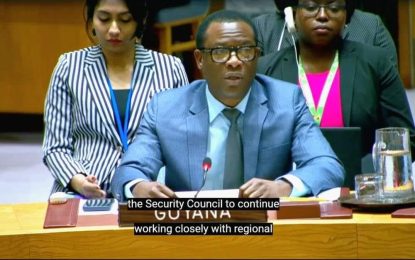 Guyana underscores importance of respect for international law at UN Security Council