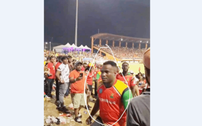 Ex-cop among four arrested for beating man unconscious at CPL game