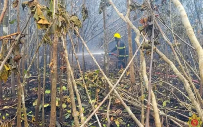 South America surpasses record for fires