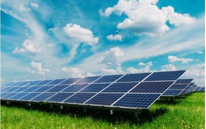 Chinese firms dominate bid to set up Linden solar project