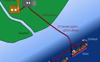 Lack of feasibility and environmental studies for Gas-to-Energy project flagged by AFC in meeting with US State Department