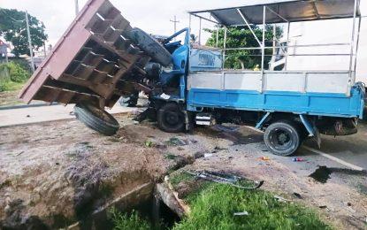 Truck driver dies after collision with tractor