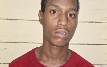 Serial burglar sentenced to seven years in jail