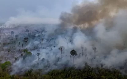 ‘It kills everything’ – Amazon’s indigenous people hit by record forest fires in Brazil