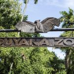 Guyana zoo to be rebuilt to international standards - Pres. Ali ...