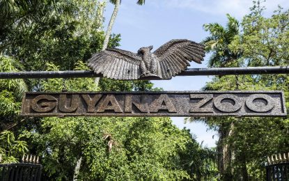 Guyana zoo to be rebuilt to international standards – Pres. Ali