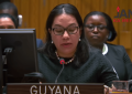 Guyana will not give up fight for ceasefire in Gaza – Carolyn Rodrigues