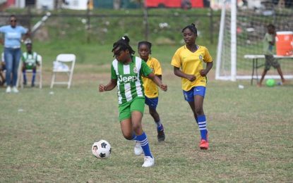 Petra-MVP Sports Girl’s U11 Football tournament kicks off today