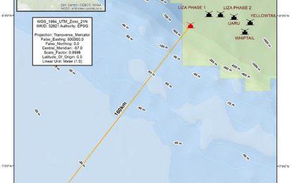 Exxon hires same consultant to do EIA study for 7th oil project